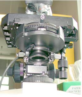 microscopio optico ajustes
